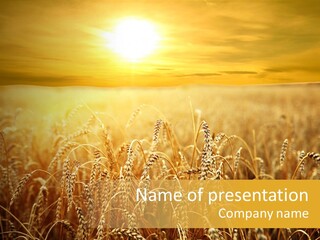 Un Et Outdoor Nature PowerPoint Template