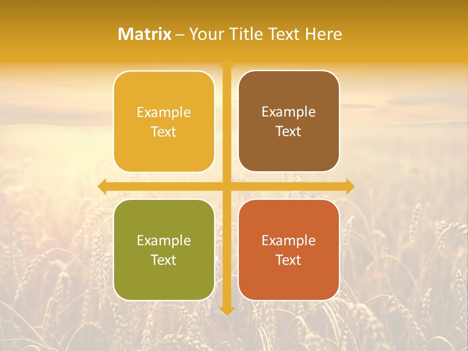 Un Et Outdoor Nature PowerPoint Template