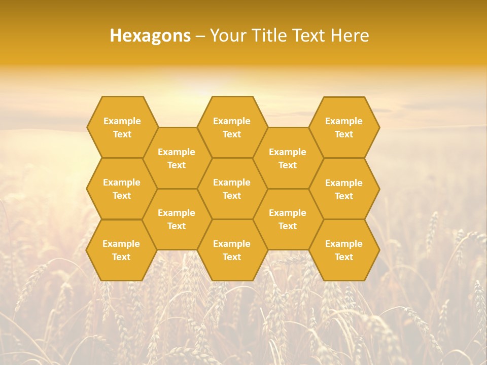 Un Et Outdoor Nature PowerPoint Template