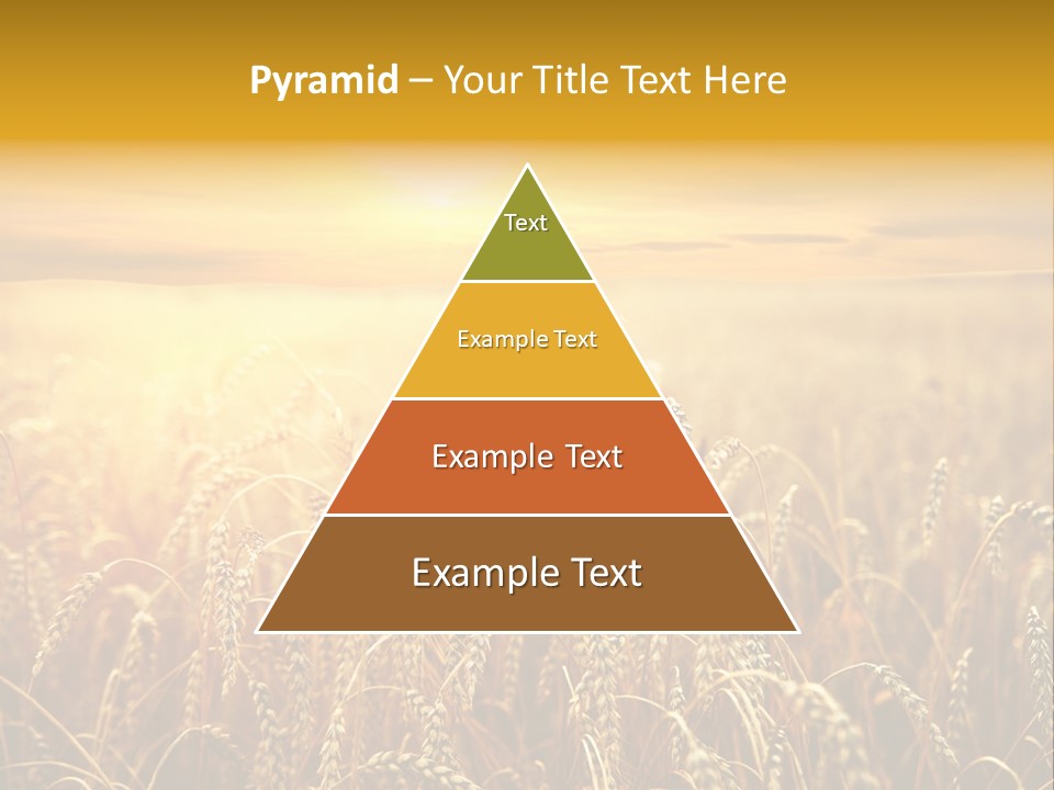 Un Et Outdoor Nature PowerPoint Template