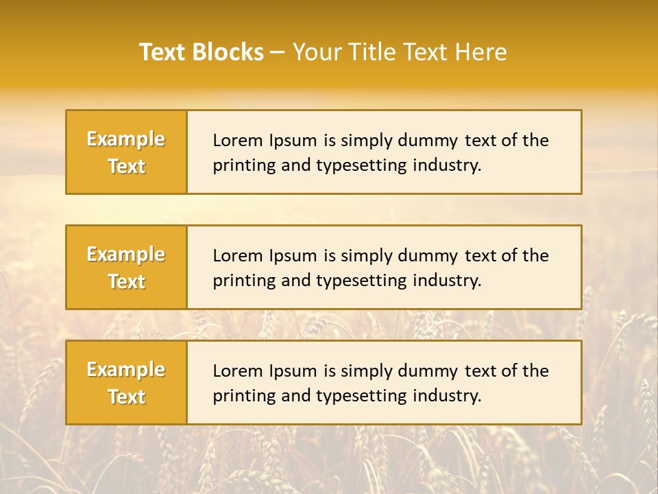 Un Et Outdoor Nature PowerPoint Template