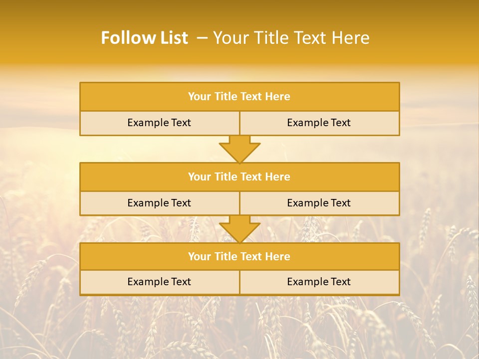Un Et Outdoor Nature PowerPoint Template