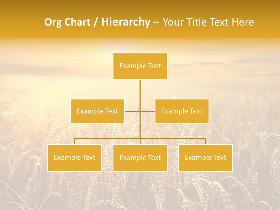 Un Et Outdoor Nature PowerPoint Template