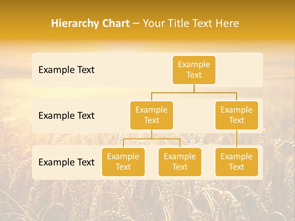 Un Et Outdoor Nature PowerPoint Template
