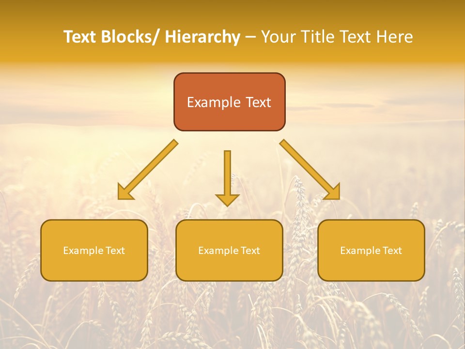 Un Et Outdoor Nature PowerPoint Template