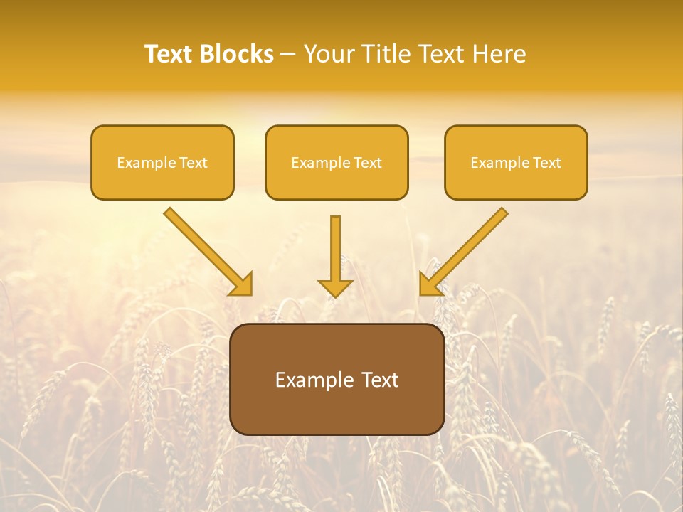 Un Et Outdoor Nature PowerPoint Template