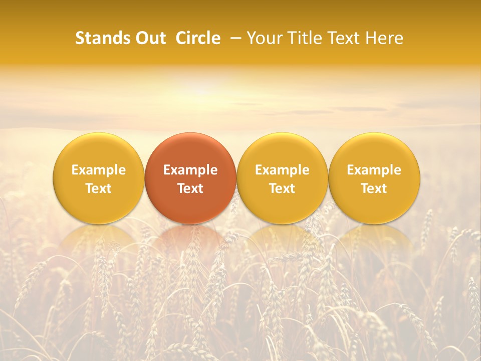 Un Et Outdoor Nature PowerPoint Template