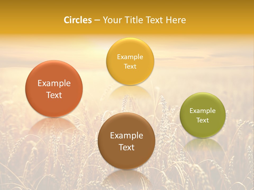 Un Et Outdoor Nature PowerPoint Template