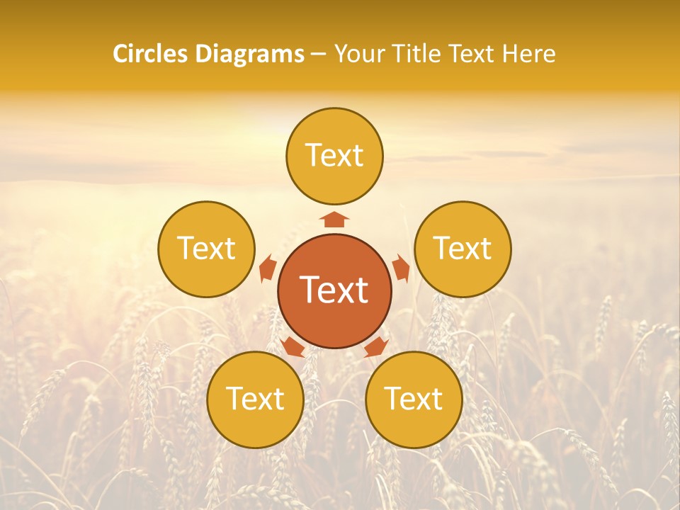 Un Et Outdoor Nature PowerPoint Template