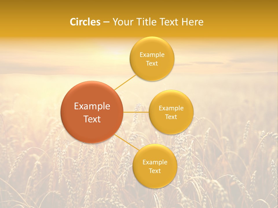 Un Et Outdoor Nature PowerPoint Template