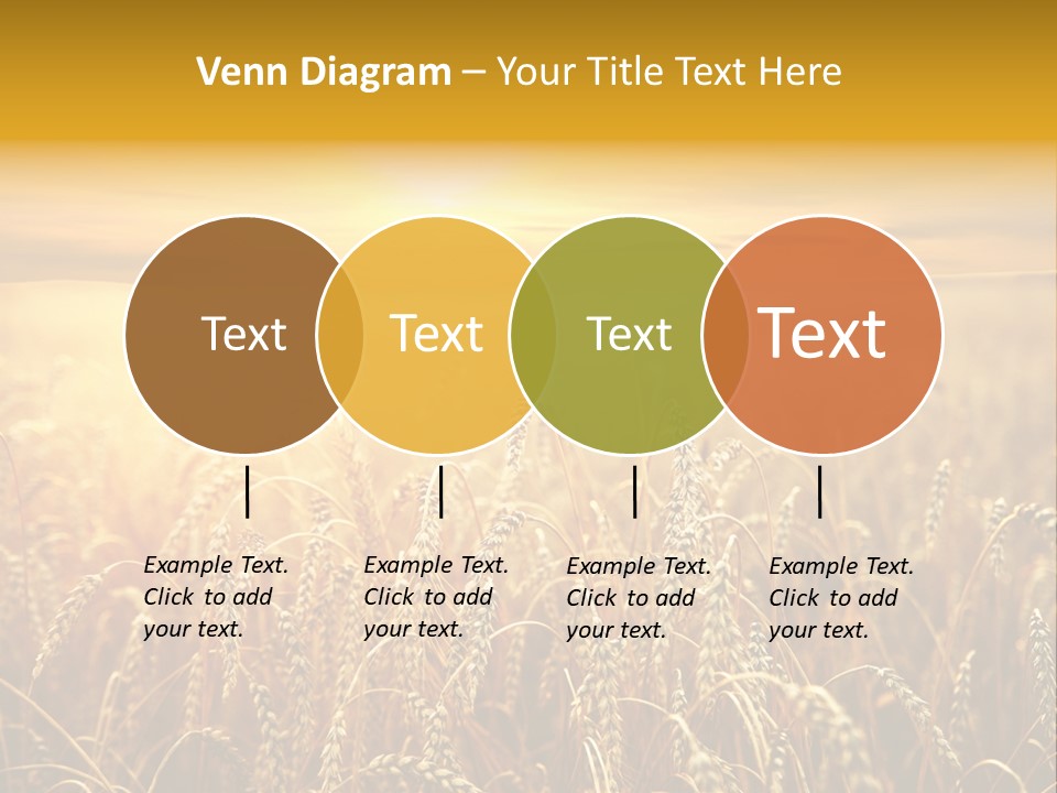 Un Et Outdoor Nature PowerPoint Template