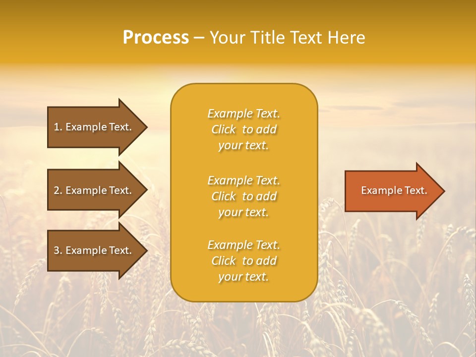 Un Et Outdoor Nature PowerPoint Template