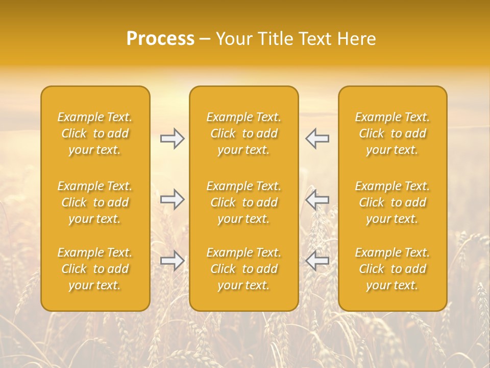 Un Et Outdoor Nature PowerPoint Template