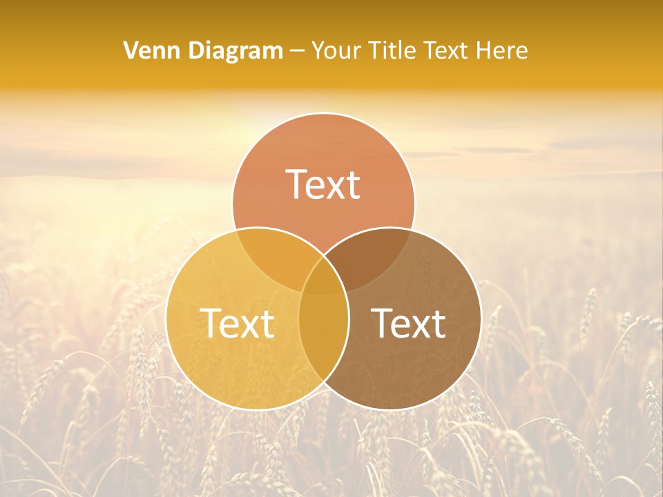 Un Et Outdoor Nature PowerPoint Template