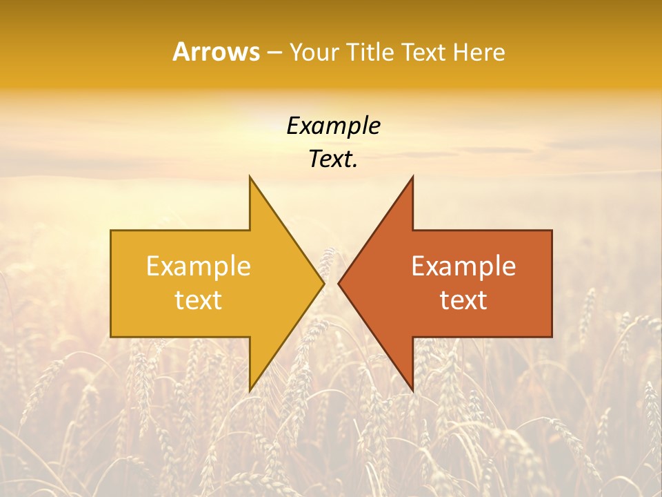 Un Et Outdoor Nature PowerPoint Template