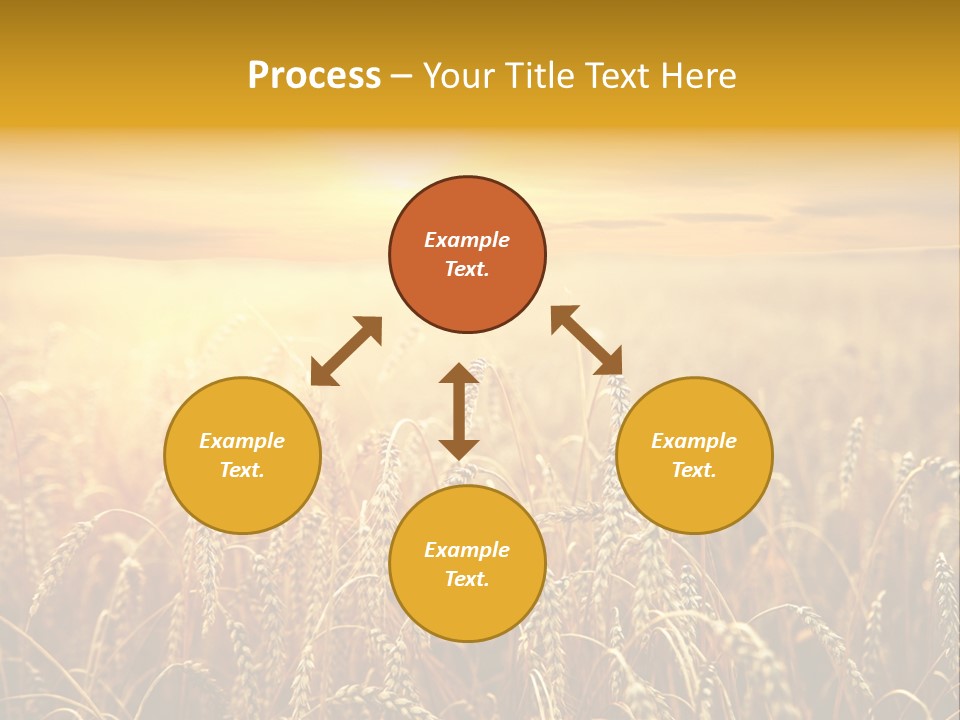Un Et Outdoor Nature PowerPoint Template