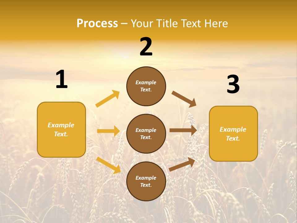 Un Et Outdoor Nature PowerPoint Template