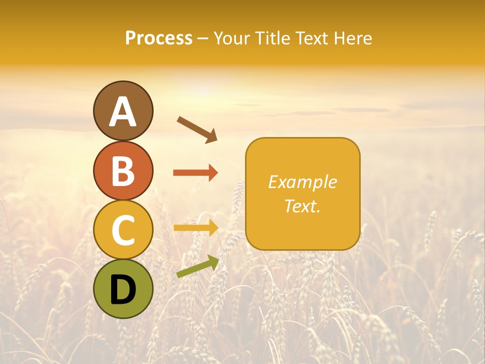 Un Et Outdoor Nature PowerPoint Template