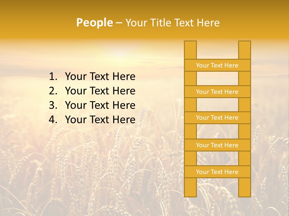Un Et Outdoor Nature PowerPoint Template