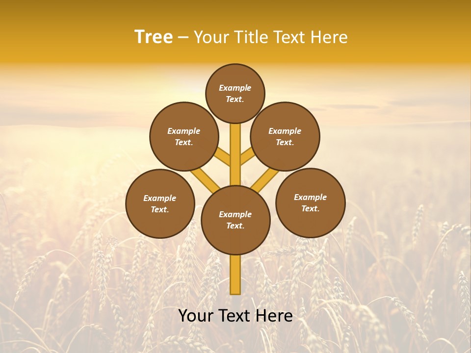 Un Et Outdoor Nature PowerPoint Template