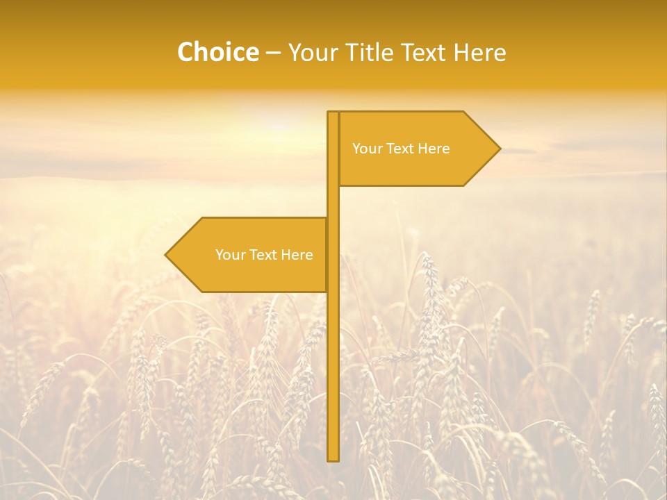 Un Et Outdoor Nature PowerPoint Template