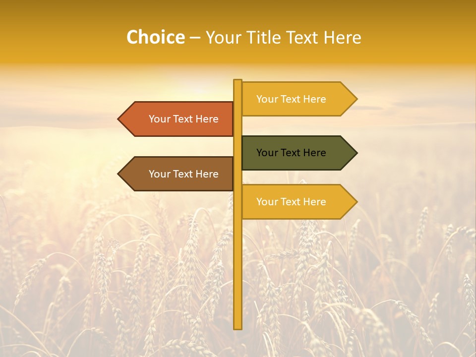 Un Et Outdoor Nature PowerPoint Template