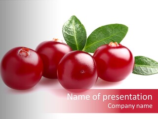 White Berry Botany PowerPoint Template