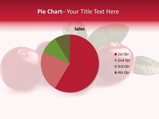 White Berry Botany PowerPoint Template