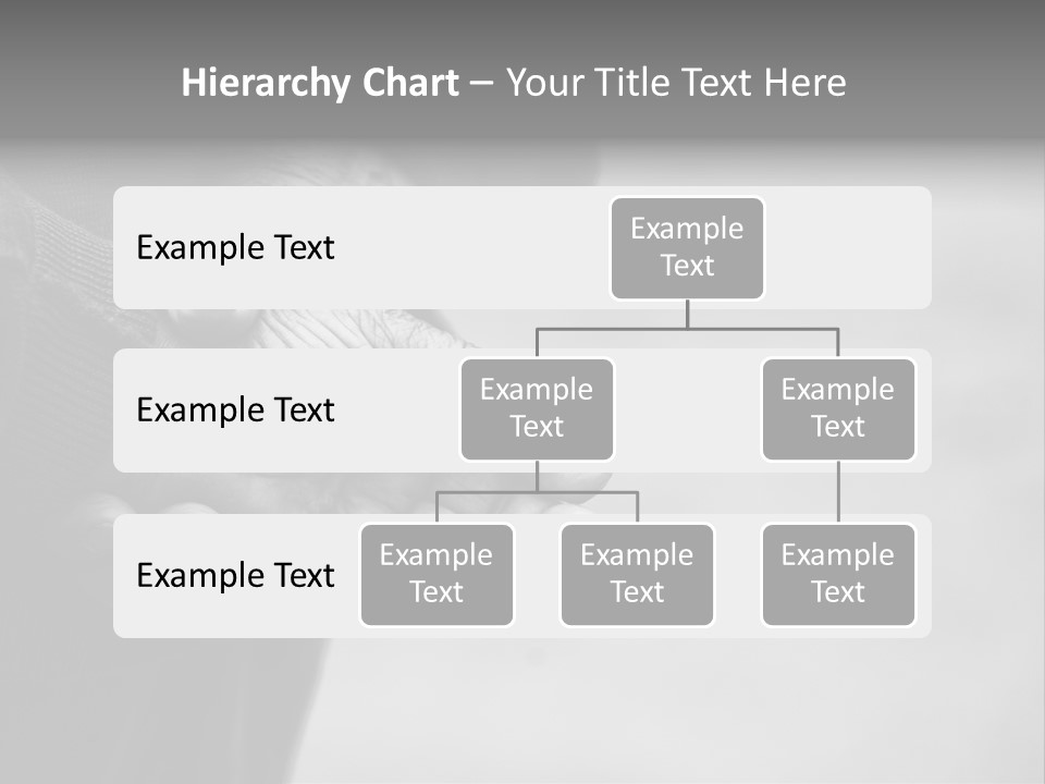 Person Old Grey PowerPoint Template