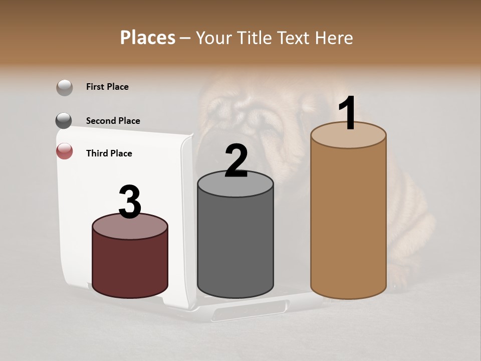 Animal Muzzle Beautiful PowerPoint Template