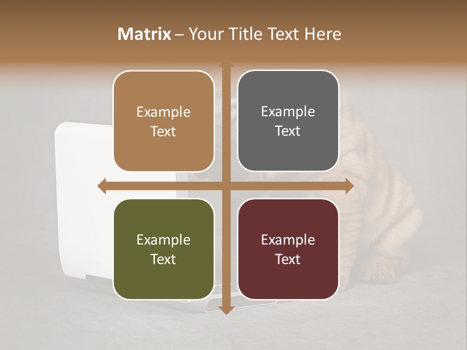 Animal Muzzle Beautiful PowerPoint Template