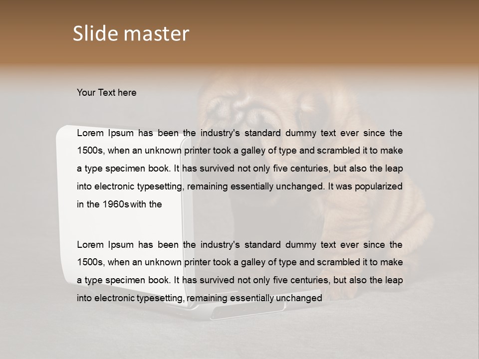 Animal Muzzle Beautiful PowerPoint Template