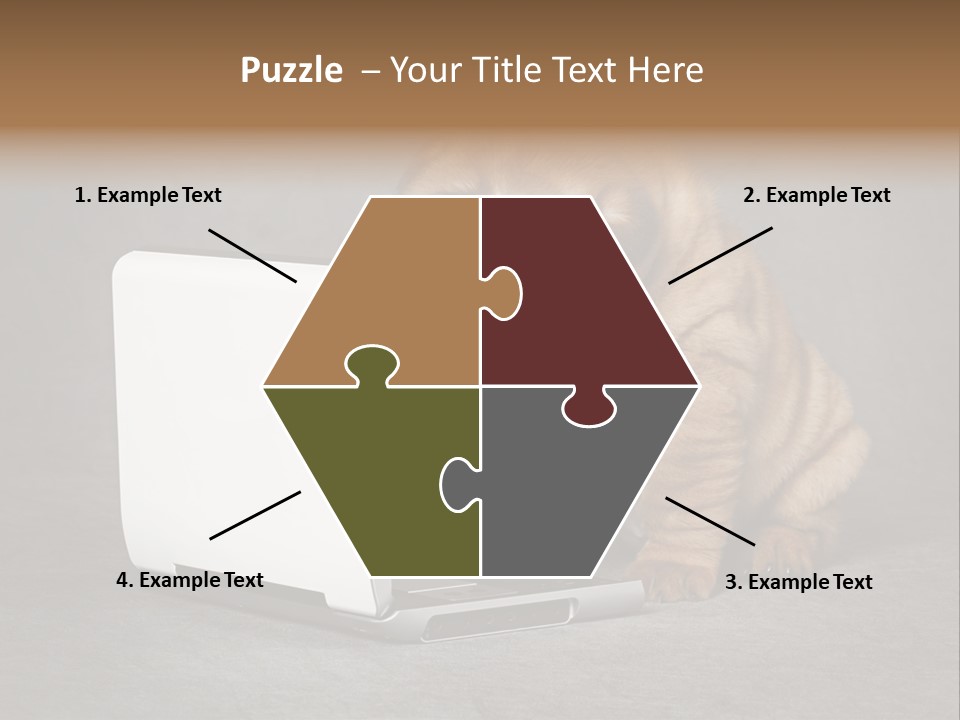 Animal Muzzle Beautiful PowerPoint Template