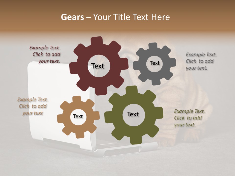 Animal Muzzle Beautiful PowerPoint Template