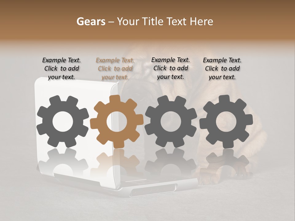 Animal Muzzle Beautiful PowerPoint Template