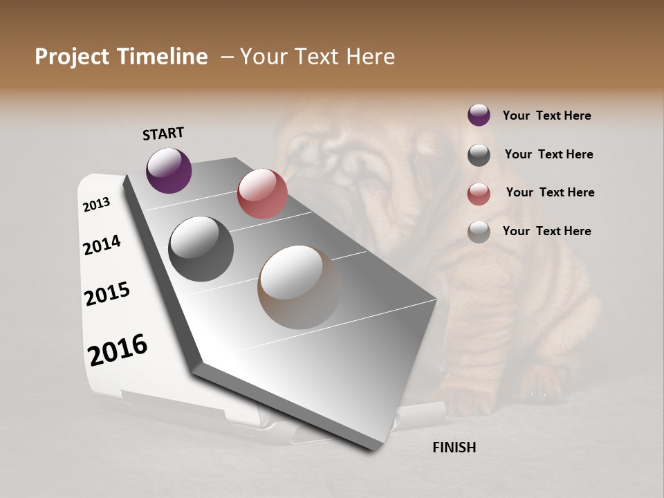 Animal Muzzle Beautiful PowerPoint Template