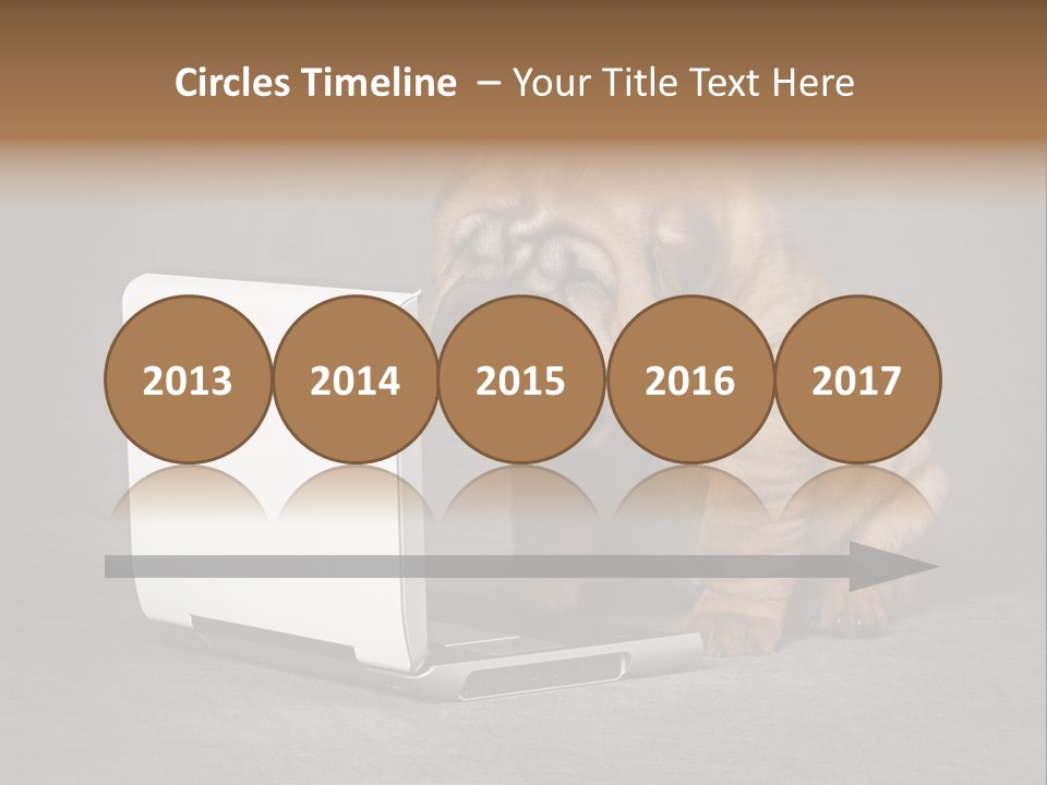 Animal Muzzle Beautiful PowerPoint Template