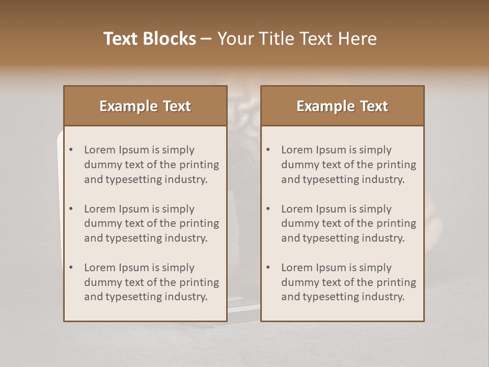 Animal Muzzle Beautiful PowerPoint Template