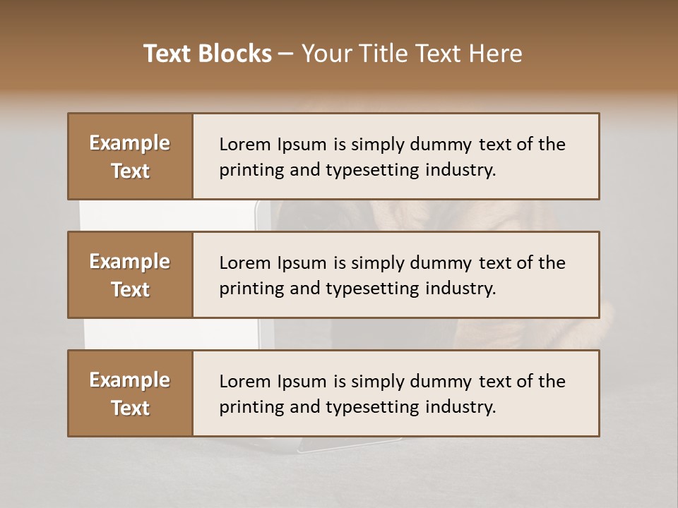 Animal Muzzle Beautiful PowerPoint Template