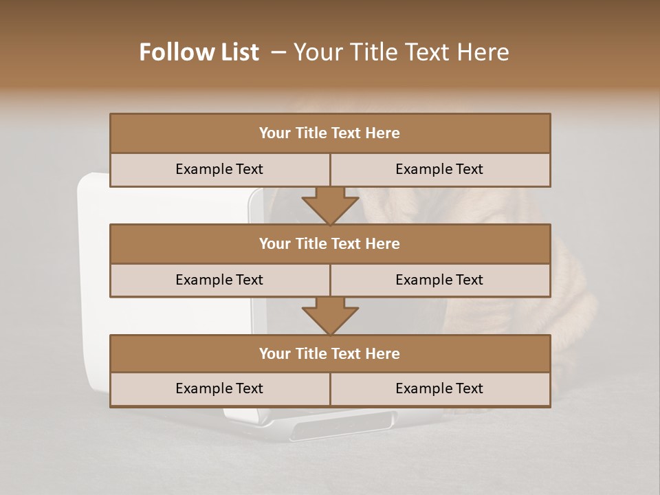 Animal Muzzle Beautiful PowerPoint Template