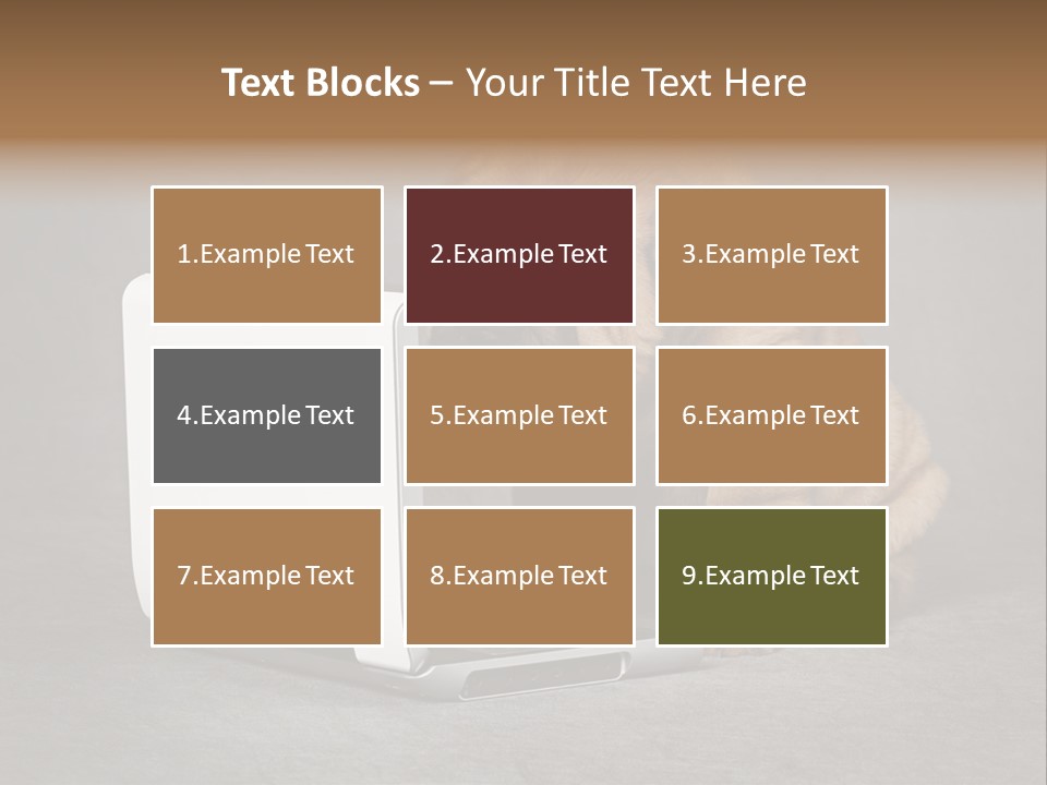 Animal Muzzle Beautiful PowerPoint Template