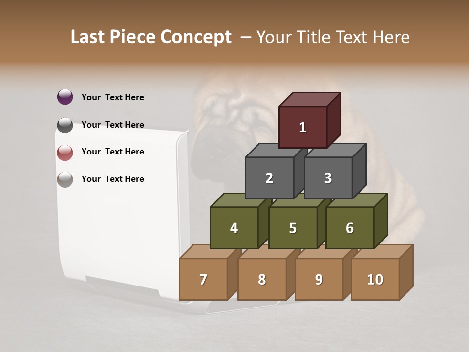 Animal Muzzle Beautiful PowerPoint Template