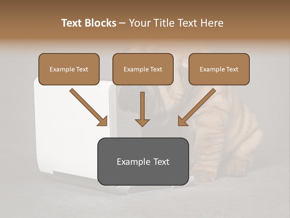 Animal Muzzle Beautiful PowerPoint Template