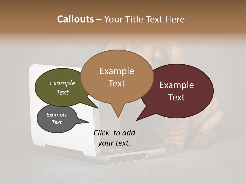 Animal Muzzle Beautiful PowerPoint Template