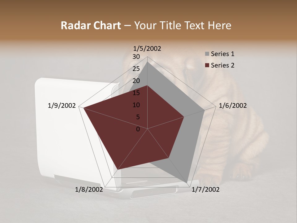 Animal Muzzle Beautiful PowerPoint Template