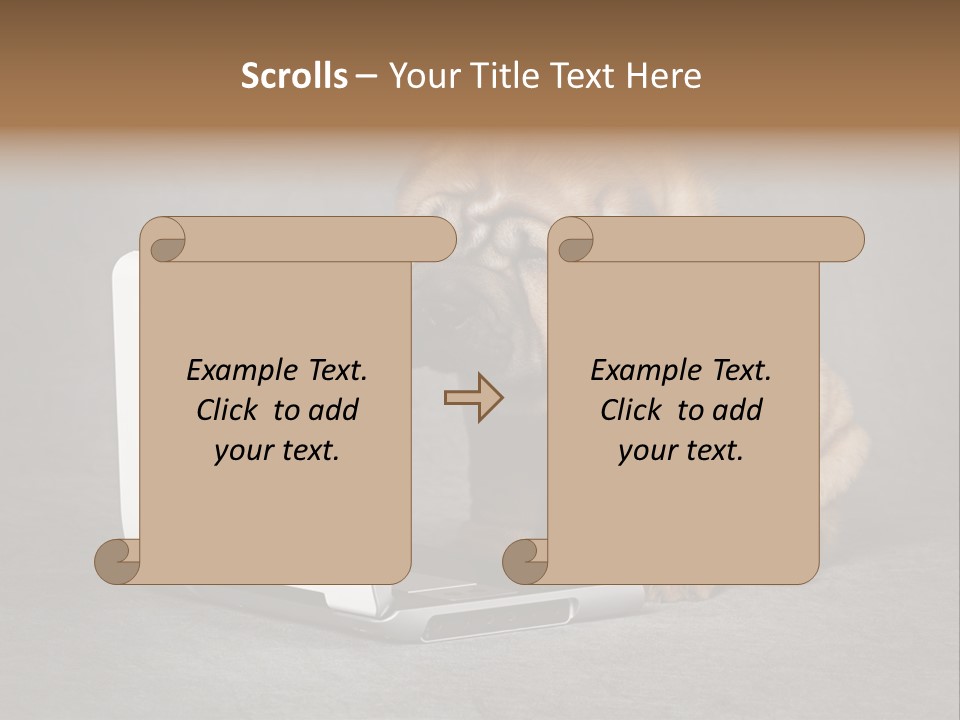 Animal Muzzle Beautiful PowerPoint Template