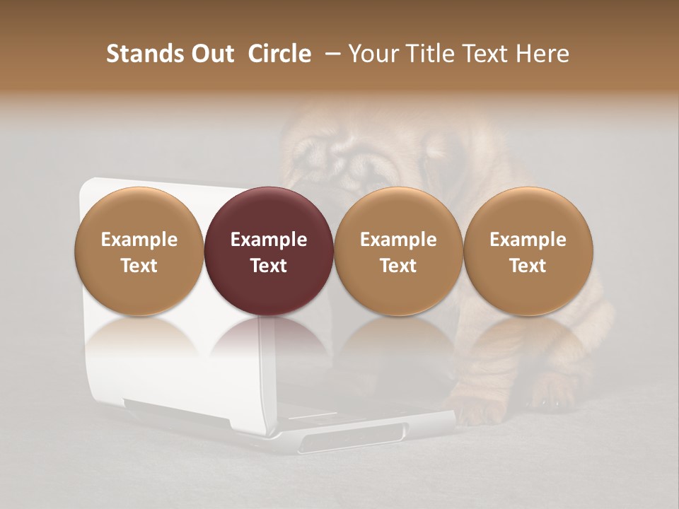 Animal Muzzle Beautiful PowerPoint Template