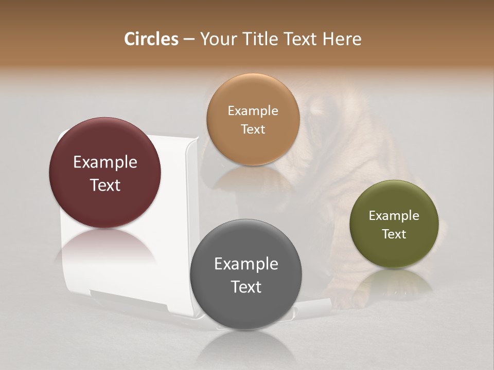 Animal Muzzle Beautiful PowerPoint Template