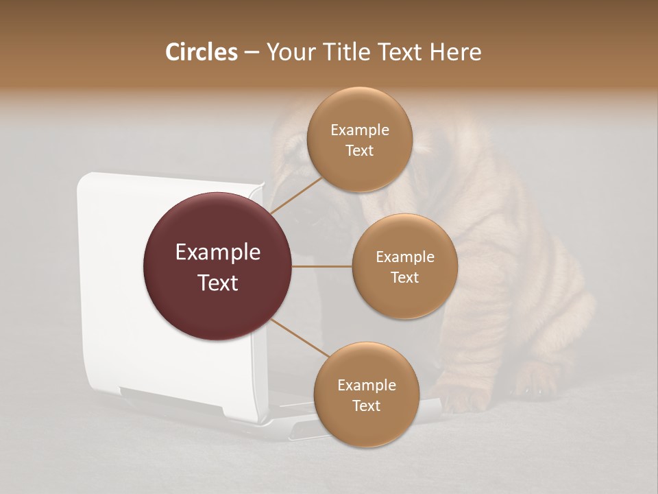 Animal Muzzle Beautiful PowerPoint Template