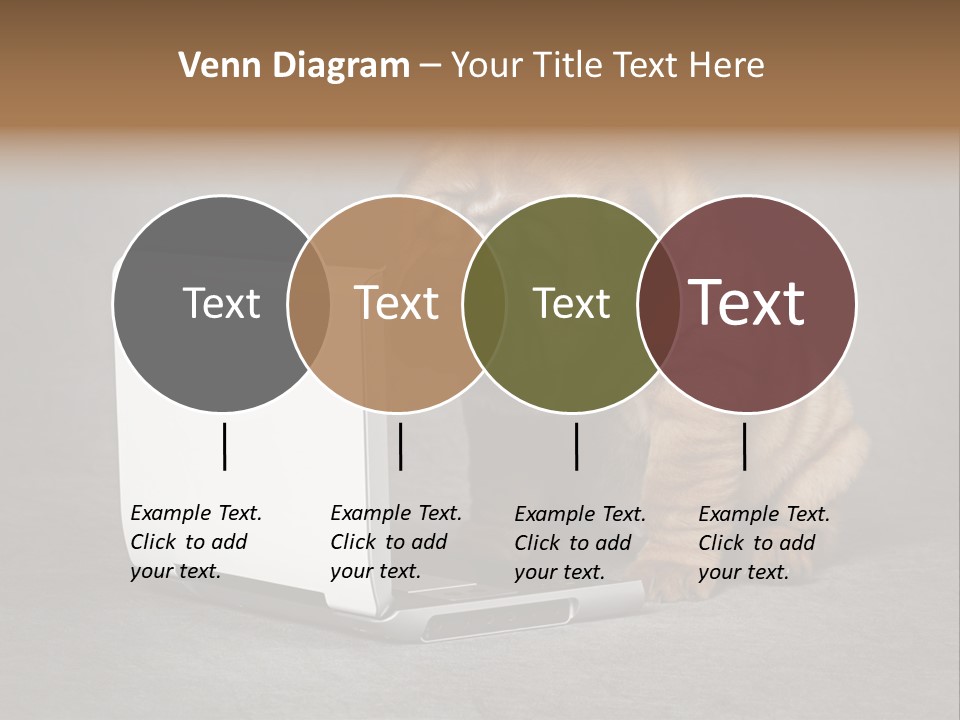Animal Muzzle Beautiful PowerPoint Template